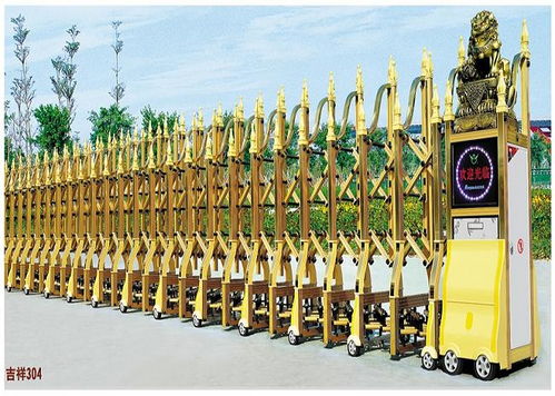 博大電動(dòng)伸縮門(mén) 奔騰506
